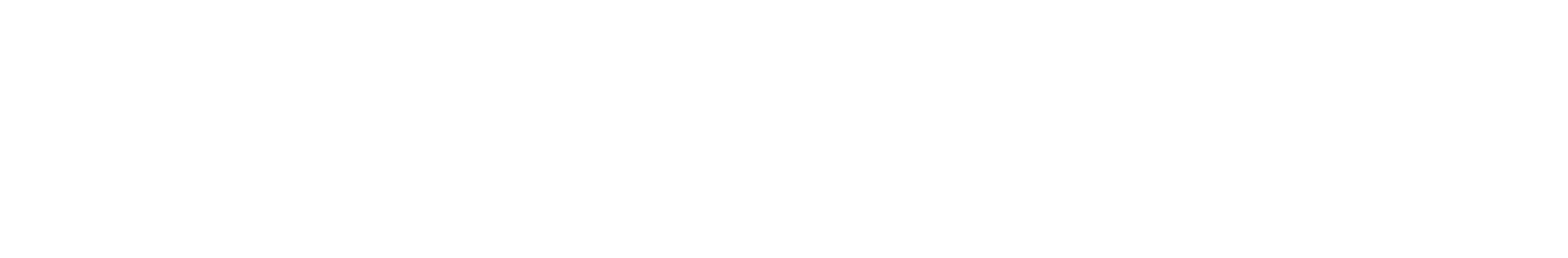 Virtusan